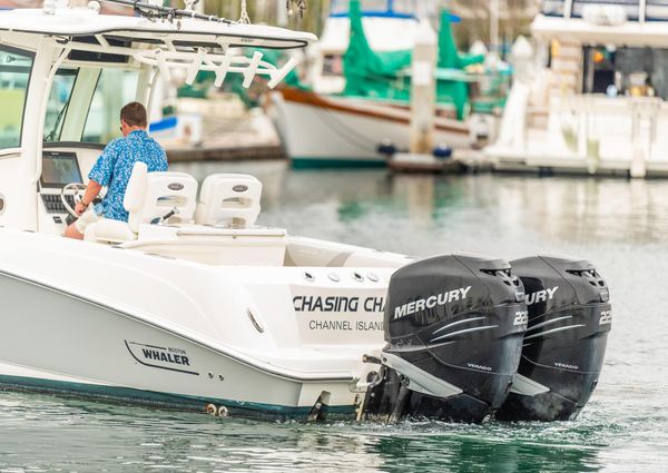 Boston-whaler 250-OUTRAGE image