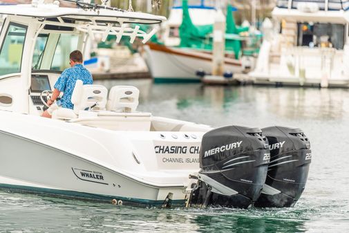 Boston-whaler 250-OUTRAGE image