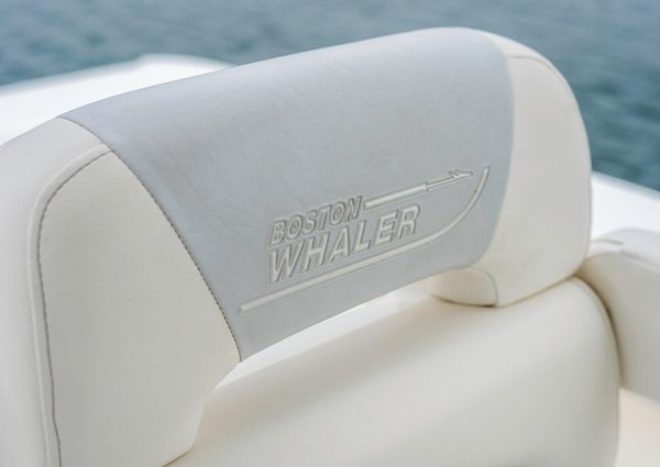 Boston-whaler 250-OUTRAGE image