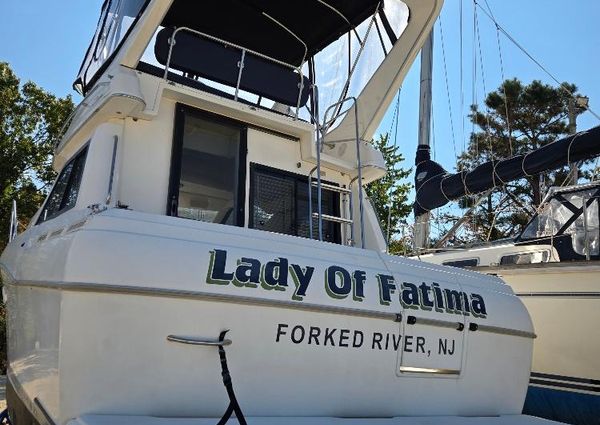 Bayliner 3258 CIERA COMMAND BRIDGE image