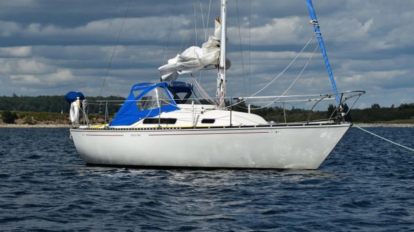 C&C 24 
