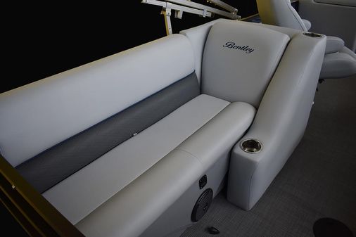 Bentley-pontoons 240-SWINGBACK image