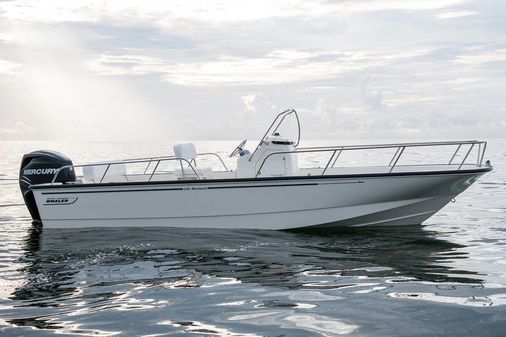 Boston Whaler 210 Montauk image