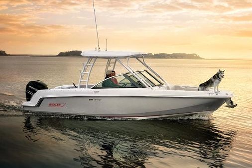 Boston-whaler 230-VANTAGE image