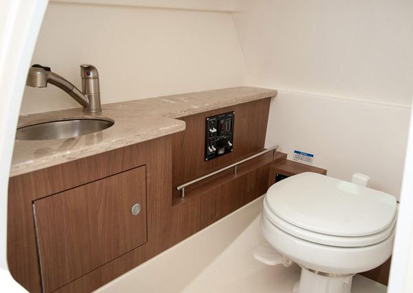 Boston Whaler 270 Vantage image