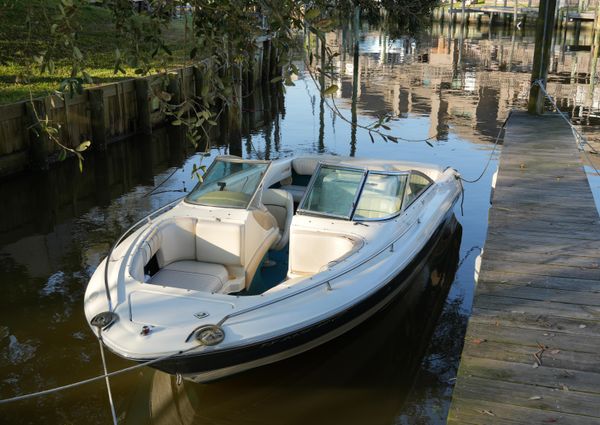 Sea Ray 210 Bow Rider image