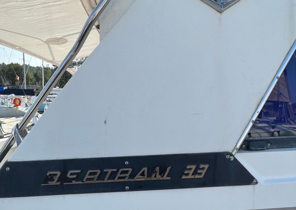 Bertram FLYBRIDGE-CRUISER image