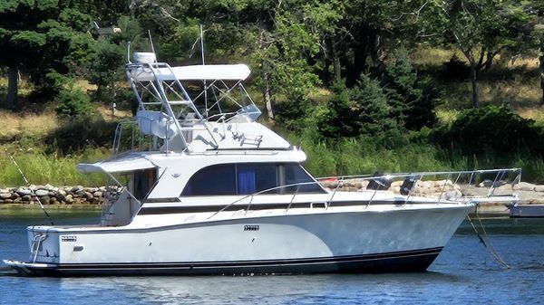 Bertram Flybridge Cruiser 