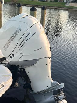 Sea Ray SDX 270 Outboard image