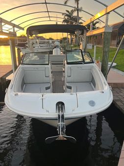 Sea Ray SDX 270 Outboard image