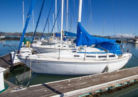 Catalina SLOOP image