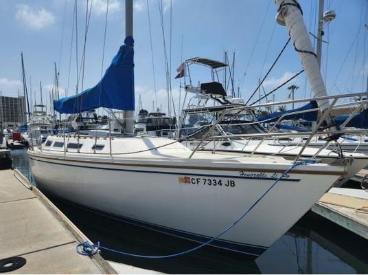 Catalina 36 - main image