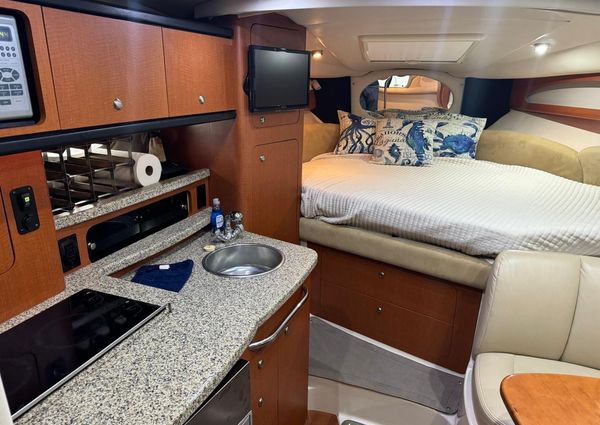 Chaparral SIGNATURE-310 image