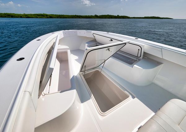 Bahama 37 image