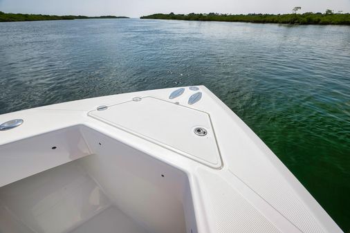 Bahama 37 image