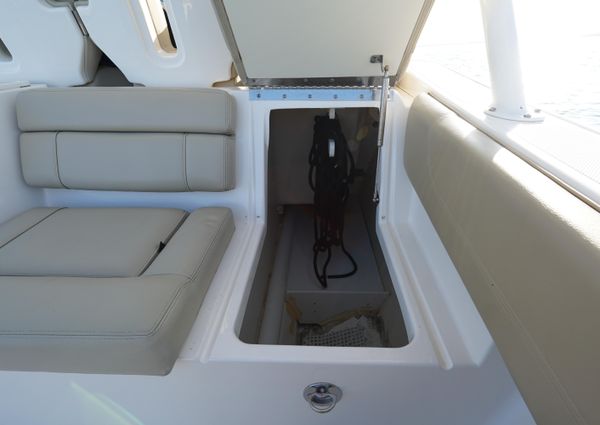 Pursuit ST 310 Sport image