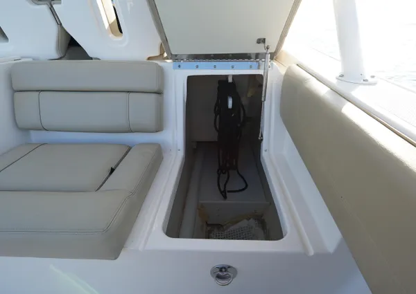 Pursuit ST 310 Sport image