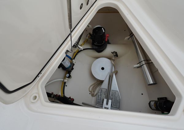 Pursuit ST 310 Sport image