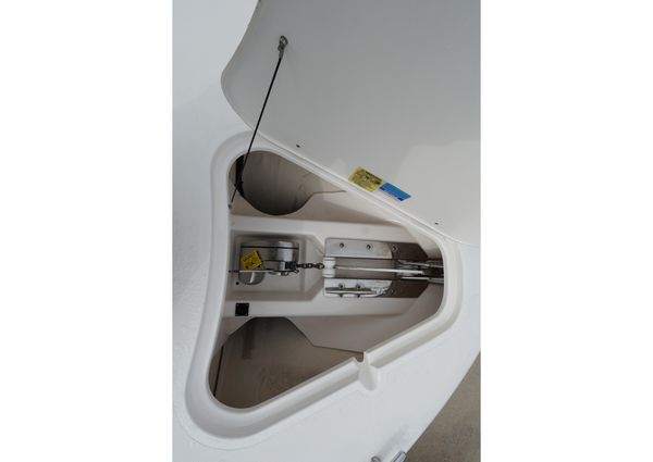 Pursuit ST 310 Sport image