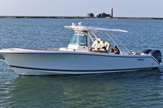 Pursuit ST 310 Sport image