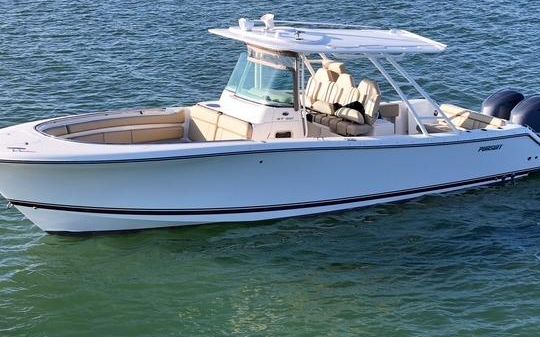 Pursuit ST 310 Sport 