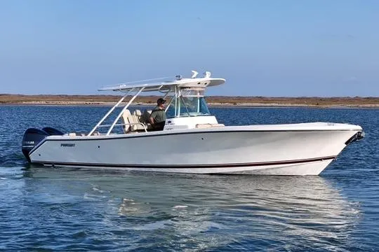 Pursuit ST 310 Sport image