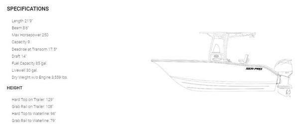 Sea-pro 222-CENTER-CONSOLE image