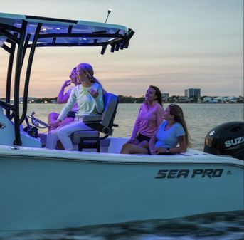 Sea-pro 222-CENTER-CONSOLE image