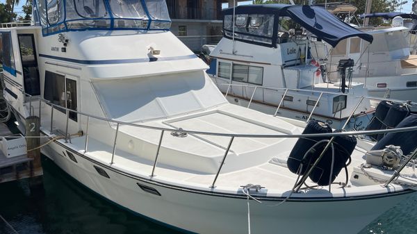 Golden Star SUNDECK
