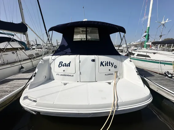 Sea Ray 380 Sundancer image