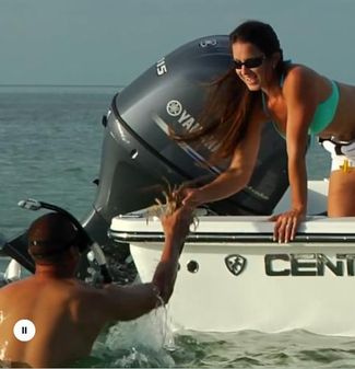 Yamaha Outboards YF115LB image