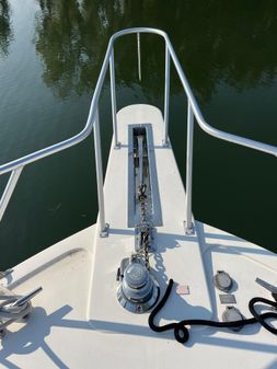 Viking 53 Convertible image