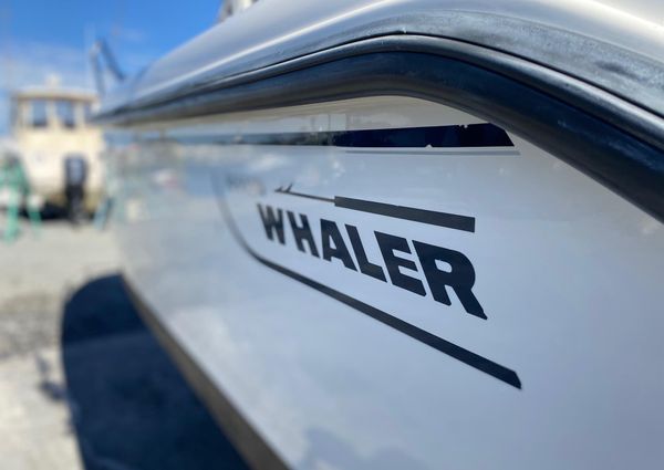 Boston-whaler OUTRAGE-20 image