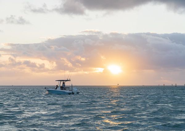 Boston-whaler 220-DAUNTLESS image