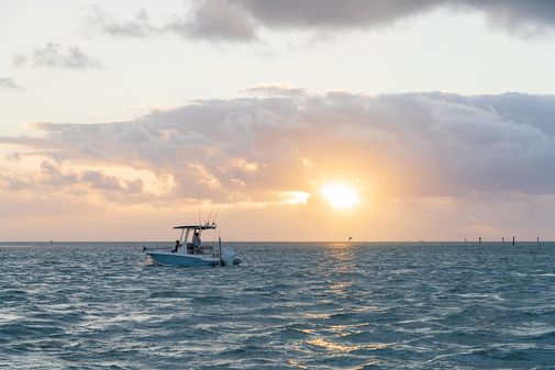 Boston-whaler 220-DAUNTLESS image