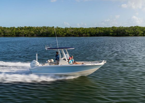 Boston-whaler 220-DAUNTLESS image