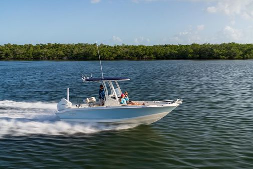 Boston-whaler 220-DAUNTLESS image