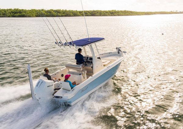 Boston-whaler 220-DAUNTLESS image