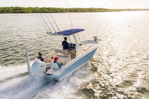 Boston-whaler 220-DAUNTLESS image