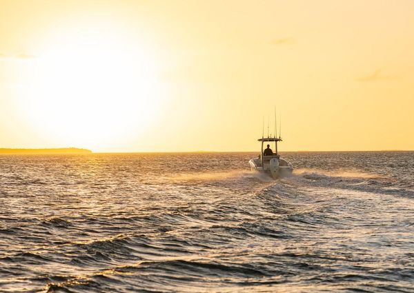 Boston-whaler 220-DAUNTLESS image