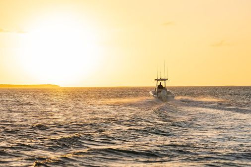 Boston-whaler 220-DAUNTLESS image