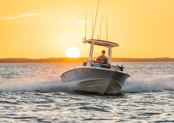 Boston-whaler 220-DAUNTLESS image