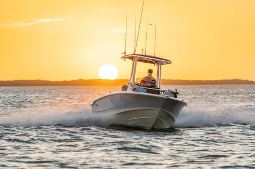 Boston-whaler 220-DAUNTLESS image