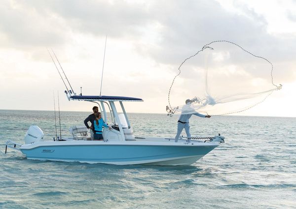 Boston-whaler 220-DAUNTLESS image