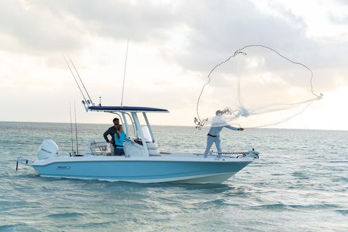 Boston-whaler 220-DAUNTLESS image