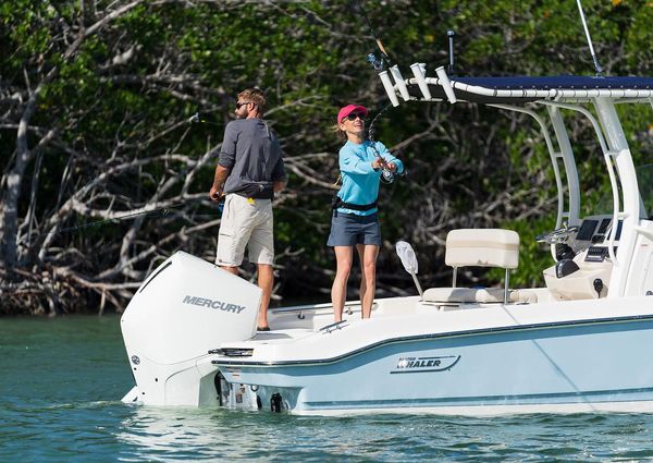 Boston-whaler 220-DAUNTLESS image