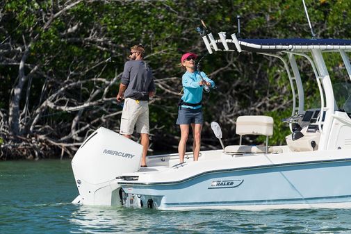 Boston-whaler 220-DAUNTLESS image