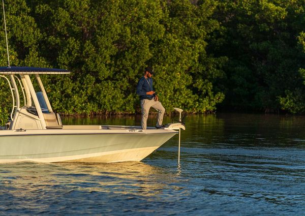 Boston-whaler 220-DAUNTLESS image