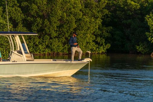 Boston-whaler 220-DAUNTLESS image