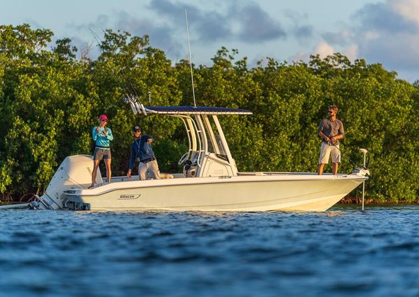 Boston-whaler 220-DAUNTLESS image